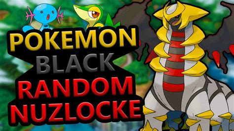 Pokemon Black Randomizer Nuzlocke Extreme Nuzlocke Rules YouTube