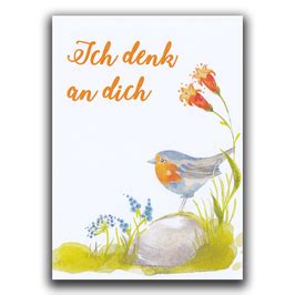 Postkarte Rotkehlchen Stinella Illustrations Webseite