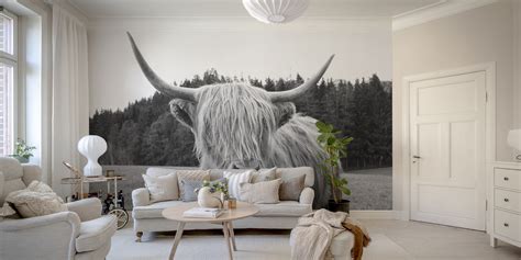 Highland Cow 6 Wallpaper - Buy Online at Happywall