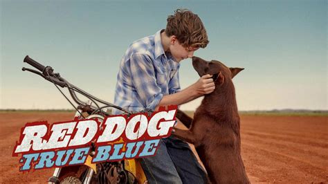 Red Dog: True Blue - Movie - Where To Watch