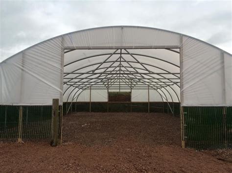 27 X 42 Flockmaster Polytunnel Sheep Shelter Raising Pigs Sheep House