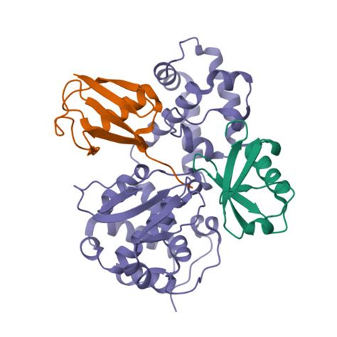 Rcsb Pdb Uyh Structure Of The First Otu Domain From Legionella