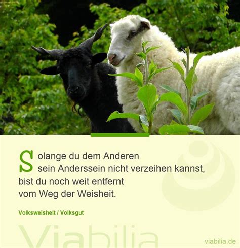 Spruch über Authentizität und Weisheit Solange du dem Anderen sein