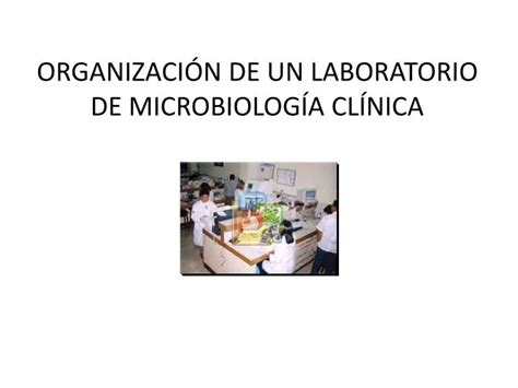 PPT ORGANIZACIÓN DE UN LABORATORIO DE MICROBIOLOGÍA CLÍNICA