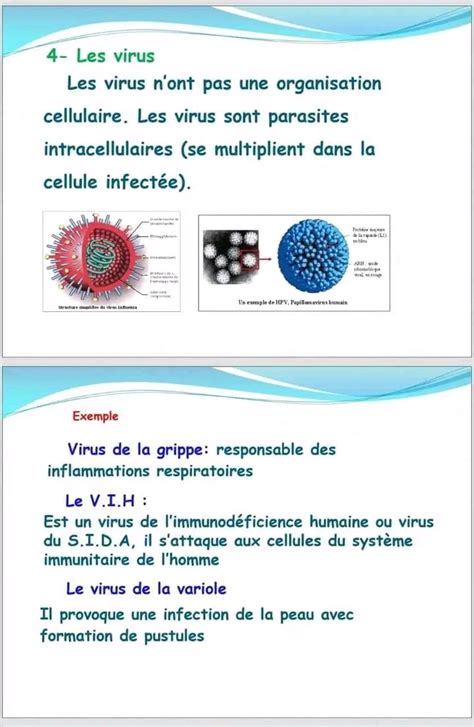 1ère année secondaire Sciences SVT Diversité du monde microbien 1 ère