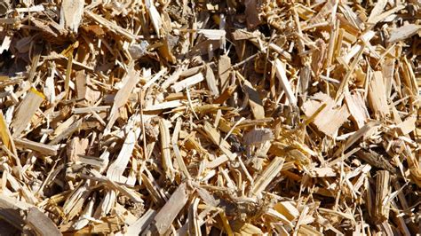 Biomass-fired Heat & Power Plants (CHP) | HoSt Group 