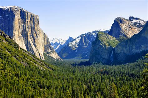 Wallpaper El Capitan K K Wallpaper Yosemite Forest Osx Apple