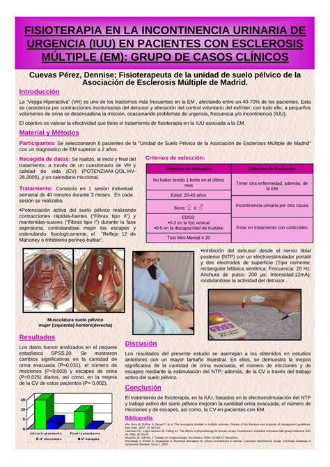 PDF CARTEL FISIOTERAPIA EN LA IUU EN EMjornadasdefisioterapia Es