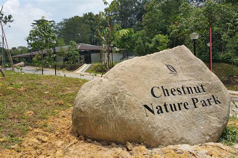 Chestnut Nature Park | Just Run Lah!