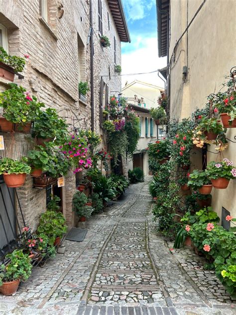 Cosa Vedere Nel Borgo Di Spello Artofit