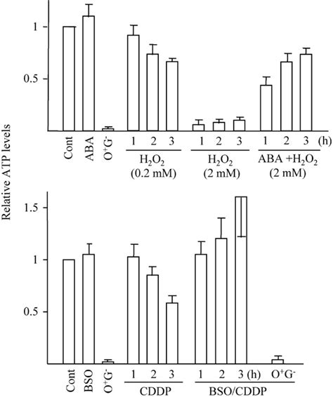 Modulation Of Atp Levels The Upper Histogram Shows The Relative Atp Download Scientific