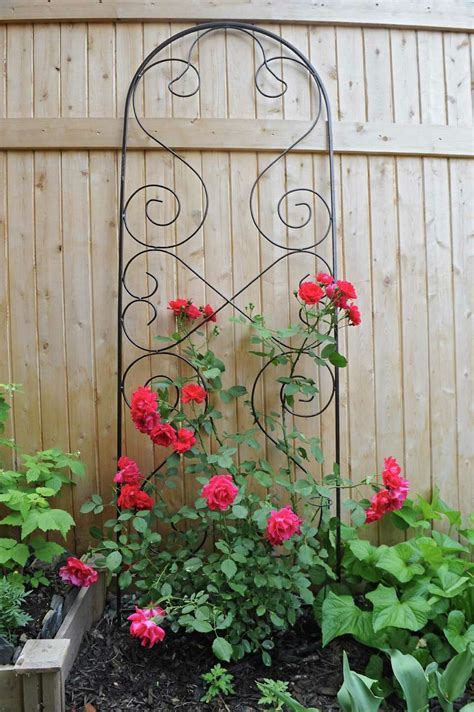 Vertical Gardening Maximizes Space For Flowers Veggies