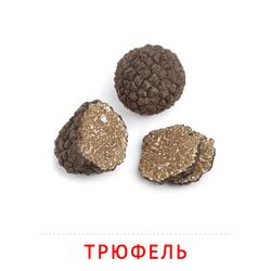 Сморчки: карточка Домана | скачать или распечатать