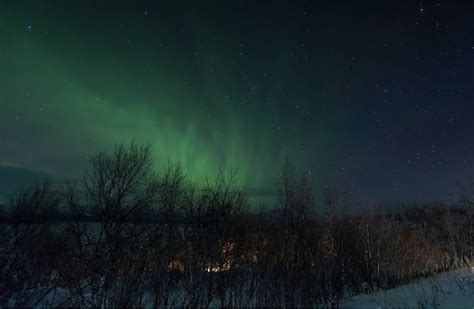 Image Des Aurores Bor Ales Abisko En Su De Photo Premium