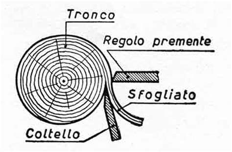 Il Legno Il Materiale Più Antico