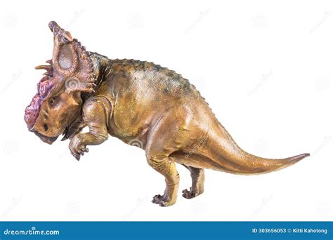 Pachyrhinosaurus Dinosaur On Isolated Background Stock Image Image Of