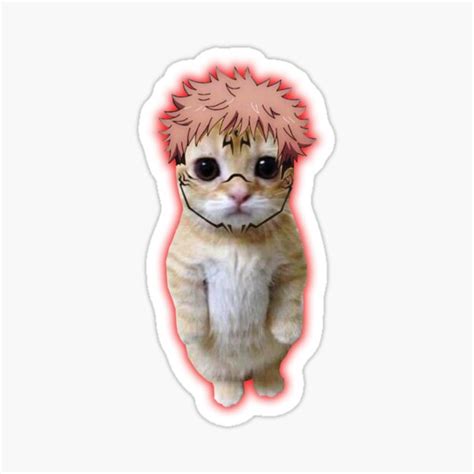 "Anime Cat Meme" Sticker for Sale by pymbor | Redbubble