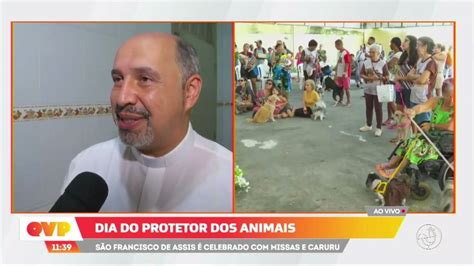 Dia do Protetor dos Animais São Francisco de Assis é celebrado