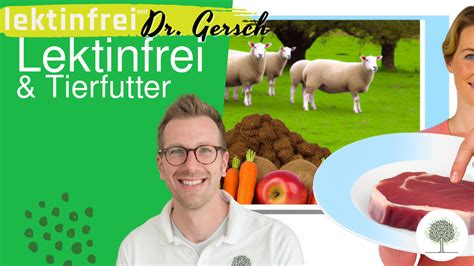 Wenn Eine Lebensmittelallergie Besteht Und Nutztiere Mit Diesen