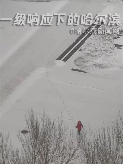 入冬第一场暴雪要来了！｜明起风大雪大，后天城区日降雪量或破历史同期极值澎湃号·政务澎湃新闻 The Paper