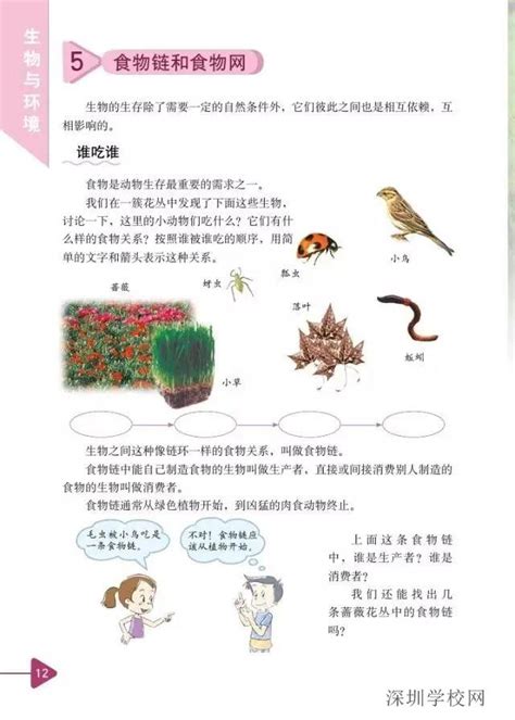 《5食物链和食物网 生物与环境》教科版小学五年级科学上册课本北师大版小学课本