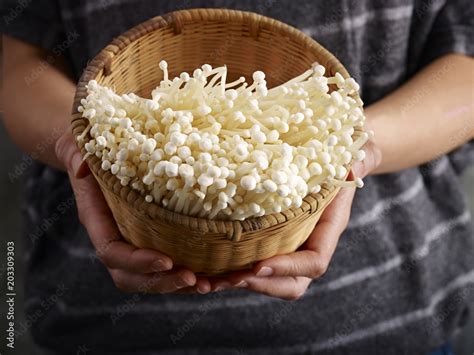 Enokitake Mushroom Stock Photo | Adobe Stock