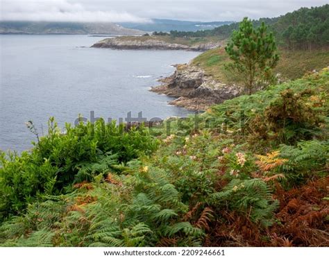 Way Lighthouses Costa Da Morte Galicia Stock Photo 2209246661 ...