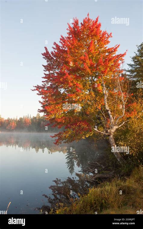 Androscoggin River Milan New Hampshire Usa Stock Photo Alamy