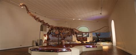 Museu De Paleontologia Pl Cido Cidade Nuvens Sindesp