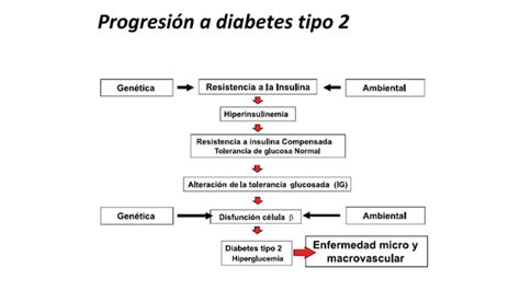 Sindrome Metabolico Ppt 2 Pptx