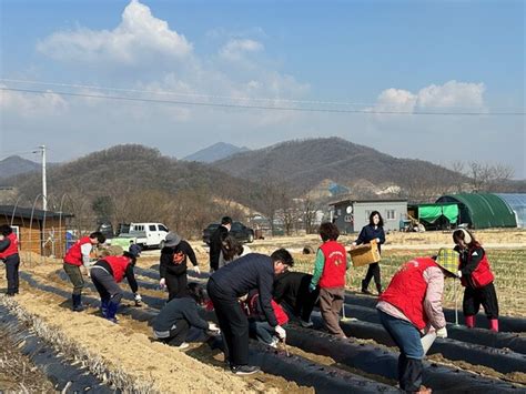 음성군 사회복지과 여성단체협의회 ‘농촌일손돕기 실시