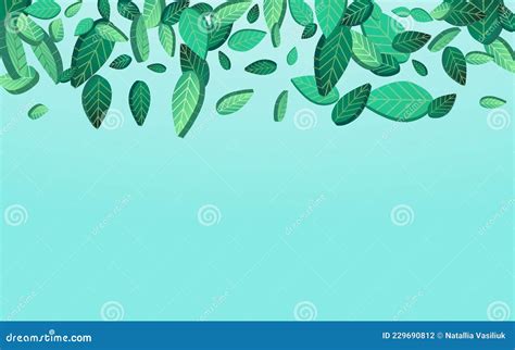 Swamp Leaf Fresh Vector Transparent Background Cartoondealer