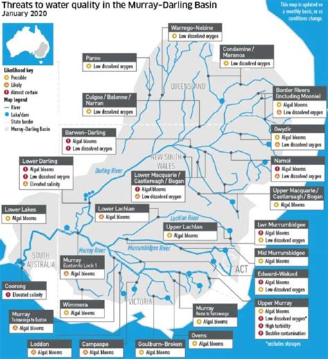 40kg Murray Cod Among Thousands Of Fish Killed In Upper Murray