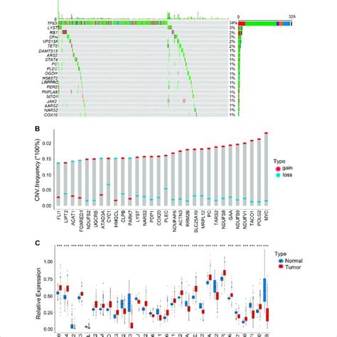 Genetic And Transcriptional Alterations Of LRGs In BRCA A The Top 30