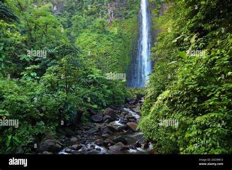 Waterfall in Guadeloupe Caribbean island. Chutes du Carbet, waterfall in Guadeloupe National ...