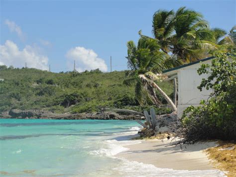 Anguilla Beaches Walk... The Top-Ranked Shoal Bay Anguilla Beach