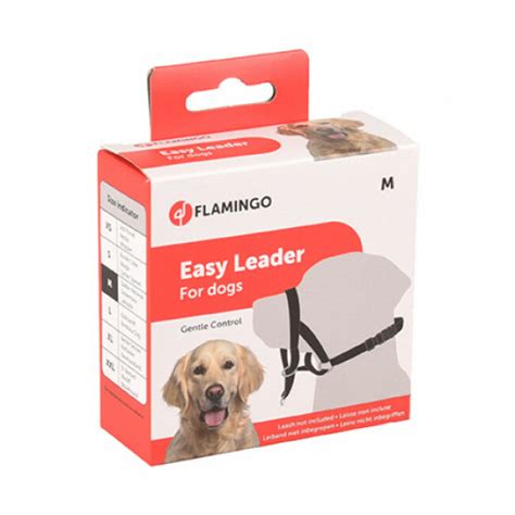 Licol Harnais éducation