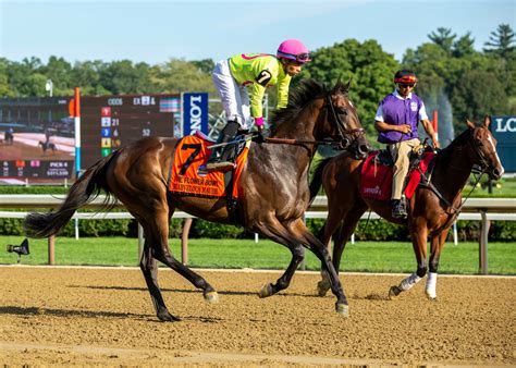 Aqueduct Picks: The Ultimate Guide (Updated for 2024!) - sf8alwi