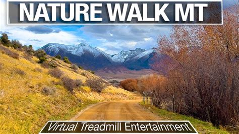 Montana Nature Walking Tour Strickland Road In Paradise Valley