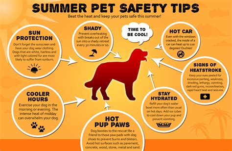 Summer Pet Safety Tips Pet Safety Summer Safety Tips Pet Emergency