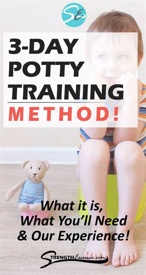 3 Day Potty Training Method Strength Essence