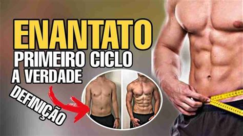 Enantato de Testosterona tudo sobre o ciclo DietaJá