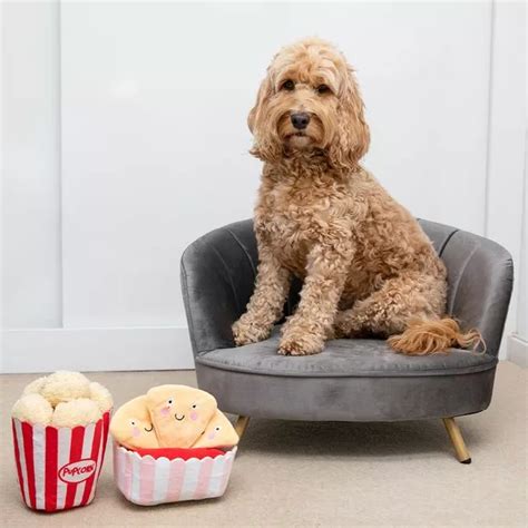 Pet owners obsessed with Aldi's new Specialbuy for dogs to chill out at ...