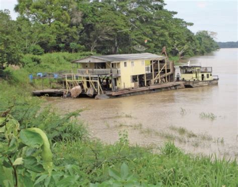 Trajetórias de pesquisa na Amazônia brasileira 18 Desmatamento