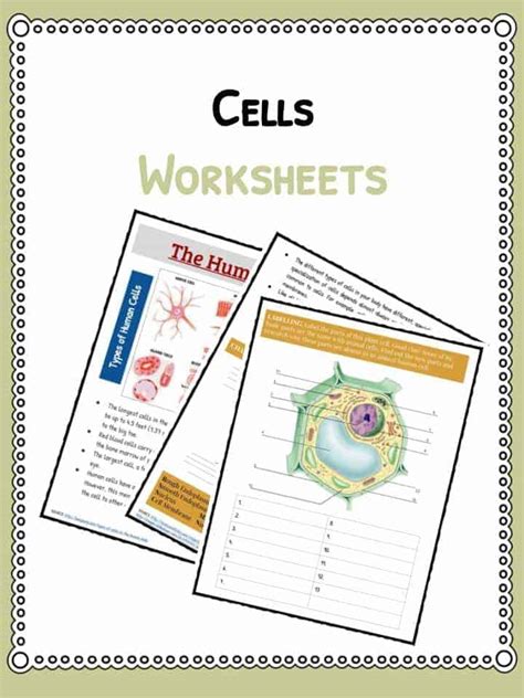 Worksheets Cells