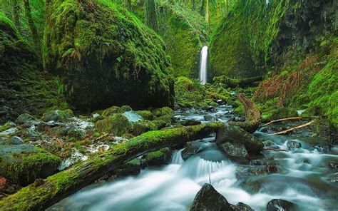 Mossy Falls Columbia River Gorge Oregon Usa Bing Hd Wallpaper Peakpx