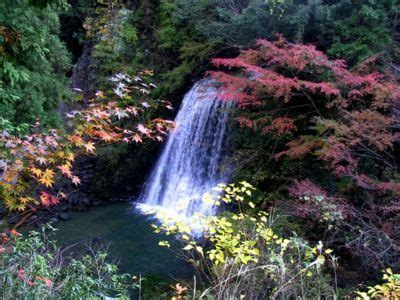 Ultimate Map Of Fall Foliage Destinations In Japan Chiba Prefecture