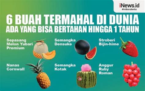 Infografis 6 Buah Termahal Di Dunia Ada Yang Bisa Bertahan Hingga 1 Tahun