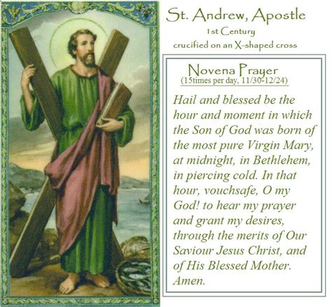 Saint Andrew The Apostle Catholic