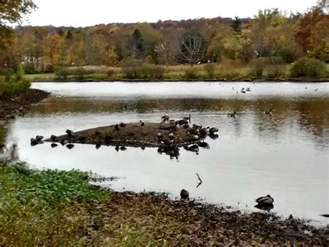 County Lowers Verona Park Lake Level - MyVeronaNJ